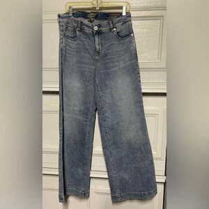 Torrid Women's Blue Jeans
